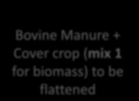 manure + On-farm compost Field II Year 1 Year 2