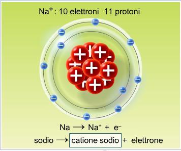 16 Gli ioni Gli ioni sono atomi o gruppi di atomi dotati di carica elettrica per perdita o acquisto di elettroni.