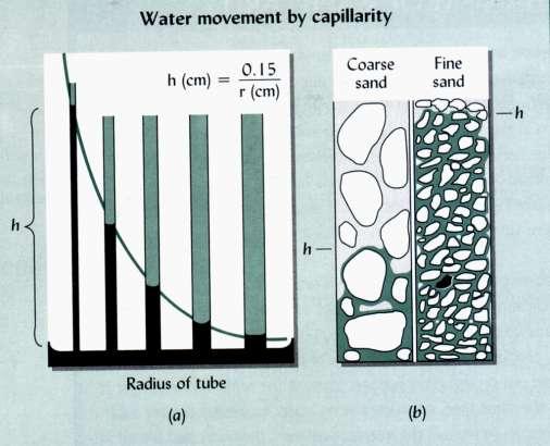 La capillarità nei pori del suolo Esprime la capacità dell acqua di muoversi nei capillari del terreno contro la forza di gravità.