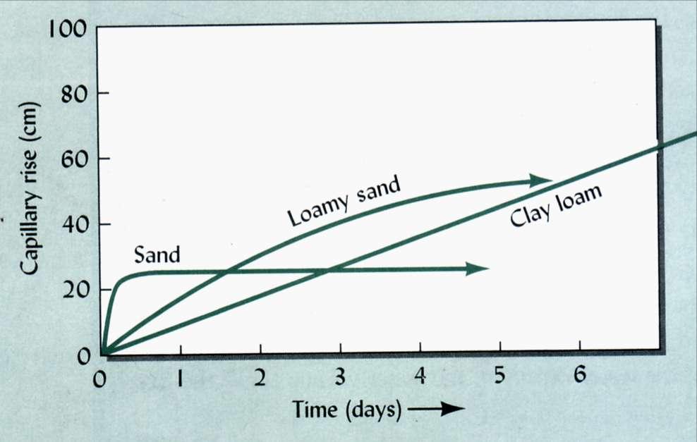 Risalita capillare in suoli a diversa granulometria Qual