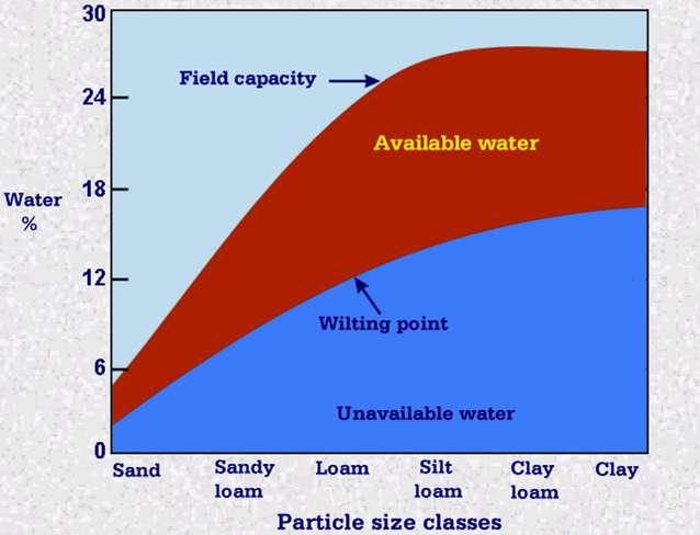 Capacità di campo e punto di appassimento variano in funzione della composizione