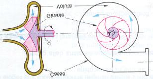 Lezione del 0 gennaio 003, ore 8:30-0:30 La pompa è un dispositivo che fa aumentare la pressione del fluido che l attraversa, ma non ne fa aumentare la velocità (se la sezione di uscita ha lo stesso