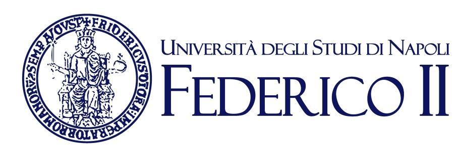 Ideas for future urban connections Università Federico II, Complesso S.