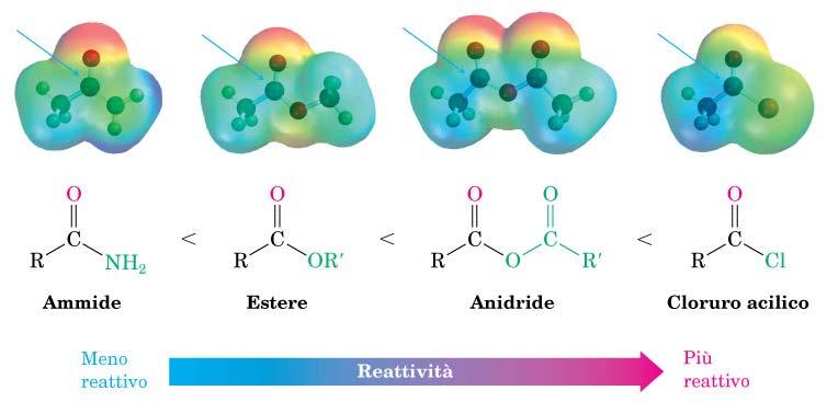 Sostituzione nucleofila acilica Reattività Alla velocità di reazione