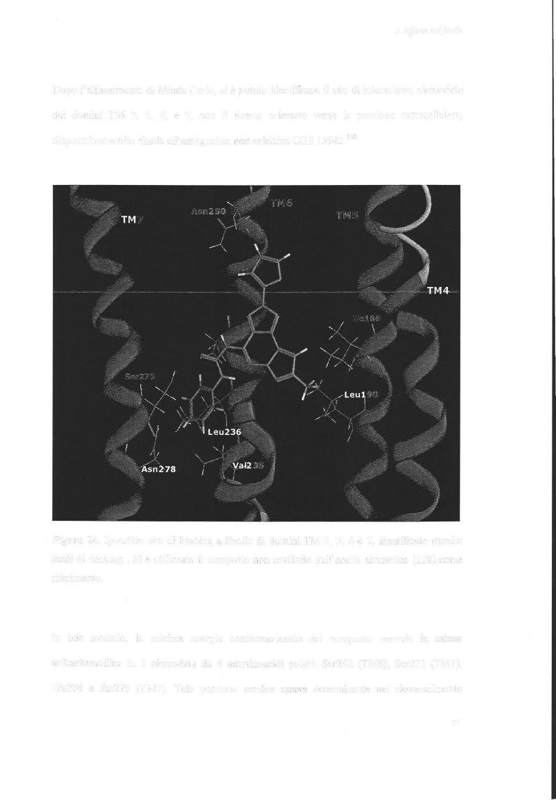 3. Effetto su/fenile Dopo l'allineamento di Monte Carlo, si è potuto identificare il sito di interazione, circondato dai