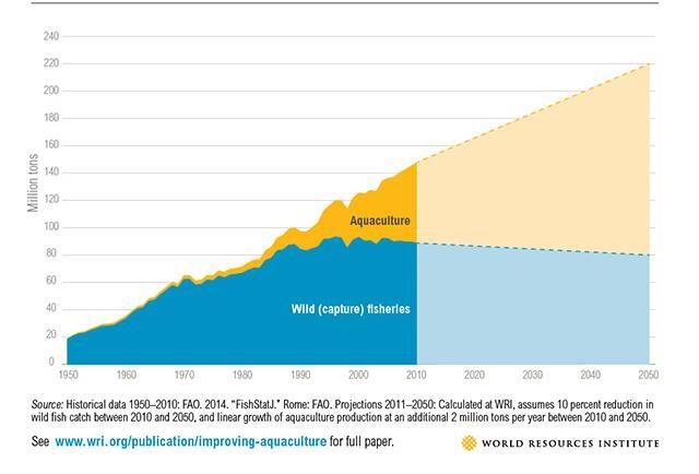 2000-14 Aumento catture da