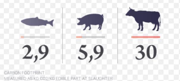 Acquacoltura: alternativa a minore impatto Consumo