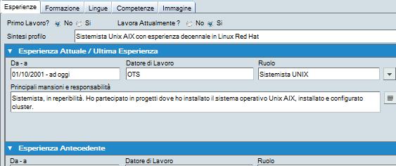 PANNELLO DI DESTRA DESCRIZIONE DEI TAB Il pannello di destra (Figura 5) presenta dei tab: Esperienze, Formazione, Lingue, Competenze e Immagine dove saranno inserite tutte le informazioni relative