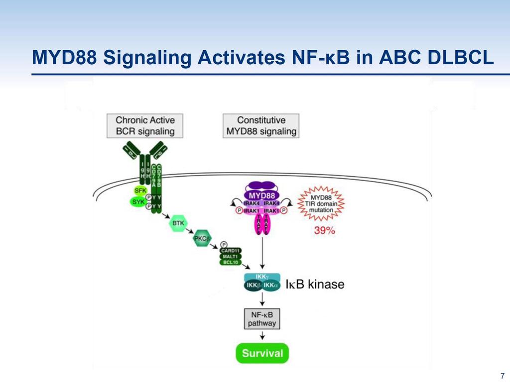 Targeting B-Cell Receptor Signaling Through