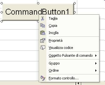 Applicazioni finanziarie con VBA 21 Premendo con il tasto destro del mouse sul controllo, si