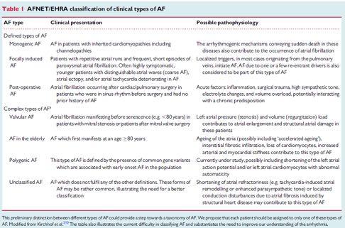 Proceedings AFNET/EHRA consensus