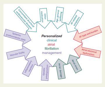 Proceedings AFNET/EHRA consensus