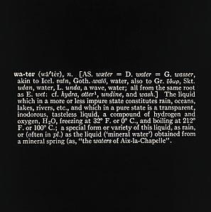 Joseph Kosuth Water (A.A.I.