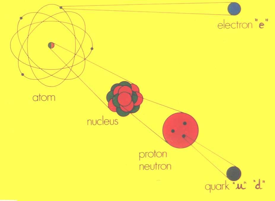 Atomo Nucleo Nucleoni: protoni e neutroni, ADRONI = Fatti di quark: con legame nucleare forte] e