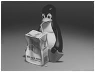 Server Linux Storia di GNU/Linux Amministrazione di Sistema Server Linux Thompson Ritchie Kernighan Tanenbaum 71: Unix Dialetti SV/BSD/Minix Stallman Torvalds Moore 84: FSF 81: PC Intel i386 89: GNU