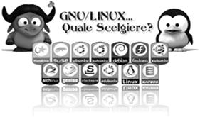 Server Linux Distribuzioni Linux Una distribuzione è un Linux funzionante raccolta di utility, programmi, applicativi e kernel Differenze tipo di licenza organizzazione dei file e dei servizi