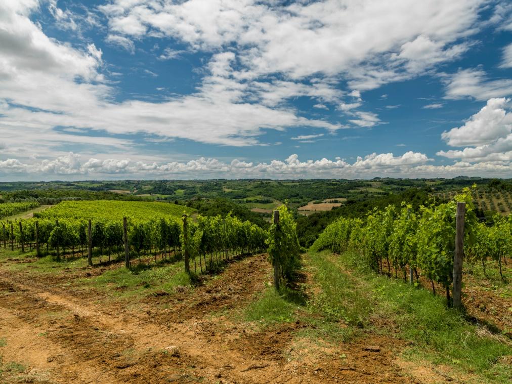 Azienda agricola