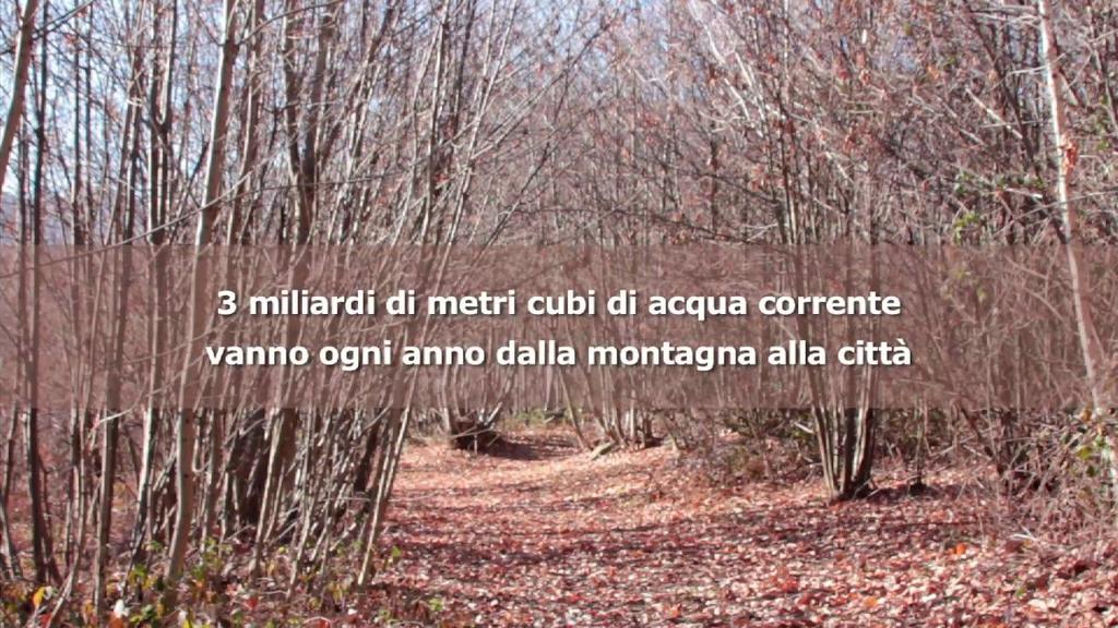 da vedere Città-Montagna A/R versione integrale Pubblichiamo finalmente la versione integrale del video Città- Montagna A/R, realizzato da Raffaella Rizzi a corredo della ricerca di Dislivelli