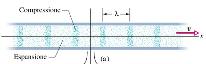 Onde elastiche Consideriamo una corda tesa orizzontalmente, con una estremità fissa.