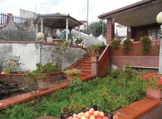 delle aiuole esterne e del cortile Perizia RILIEVO FOTOGRAFICO CAUSA