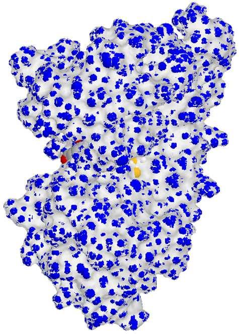 Diidrolipoil (E 3 ) 2 + Il lipoato ridotto viene riossidato dall E 3 utilizzando il che si riduce a 2. Il 2 viene riossidato dal che si riduce a AD e + i rigenera la piruvato v.