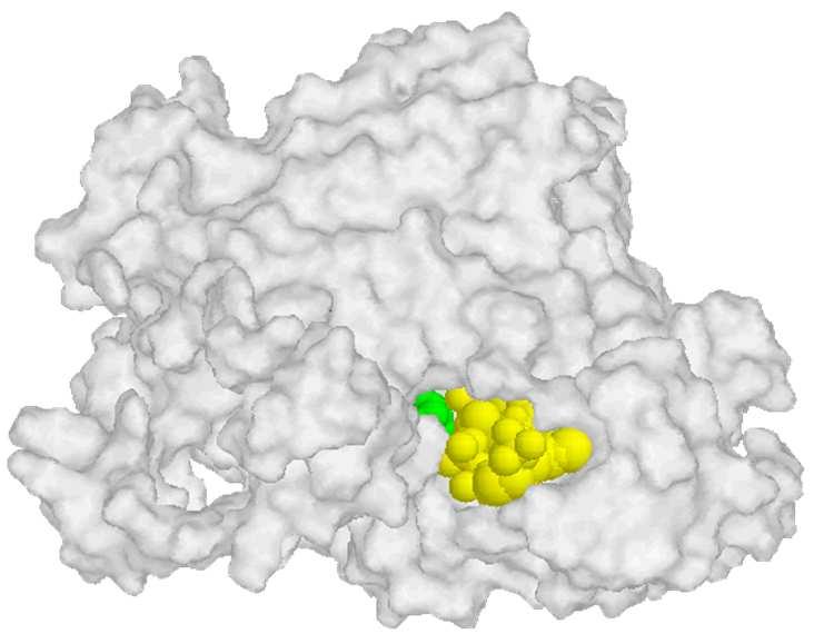 1 gsartor 2001-2018 Metabolismo dei carboidrati - III -