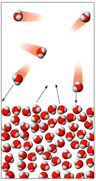 Le molecole possono sia sfuggire dalla superfice del liquido verso