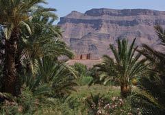 MAROCCO Marrakech Express 13 7 Giorno - Marrakech/Ouarzazate/Zagora Prima colazione e partenza alla volta di Ouarzazate attraverso le montagne dell Alto Atlante con il superbo passo di Tizi n Tichka