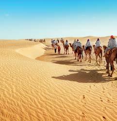 che custodisce villaggi berberi, lussureggianti pianure e palmeti Escursione all alba in jeep 4x4 sulle dune di Merzouga, esperienza vibrante su una distesa desertica del Sahara Pranzo in ristorante