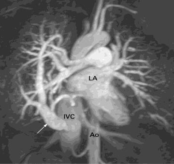 in Radiologia Garantisce la qualità delle procedure radiologiche, intervenendo