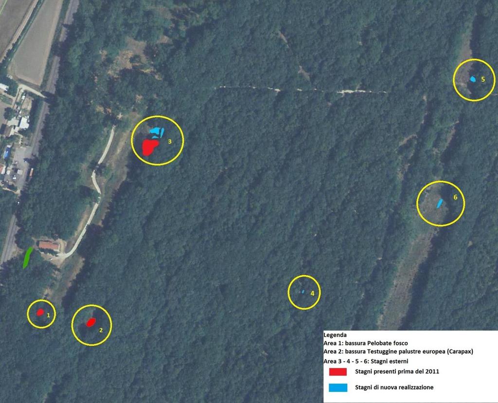 Figura 1: area di indagine presso la R.N.I.