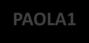 PAOLA1 Platine, Avastin and OLAparib in 1 st line of advanced high grade epithelial ovarian,