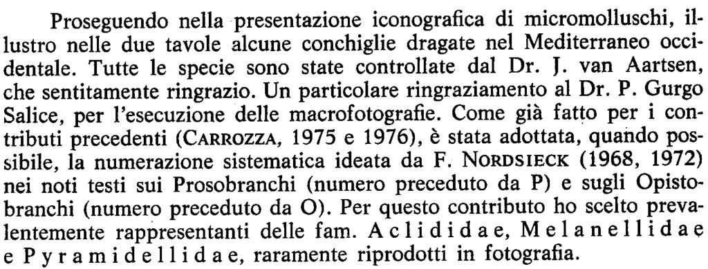 Ferdinando Carrozza* MICRODORIDE DI MALACOLOGIA (Contributo Quarto) MEDITERRANEA Riassunto Vengono presentate le macrofotografie di dodici specie di micromolluschi dragati nel Mediterraneo