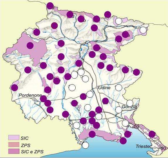 ATTIVITA IN CORSO: STRUMENTI DI TUTELA E GESTIONE Piani e Strumenti per la gestione La RAFVG ha affidato i servizi di redazione di: ZPS: 8 Piani SIC: 41 Piani e 15 set conoscitivi e normativi