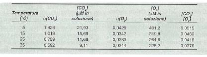 La fotorespirazione previene la fotoinibizione In situazioni di bassa CO 2 (chiusura di stomi, stress idrico) l energia luminosa non viene utilizzata per fissare CO 2 La