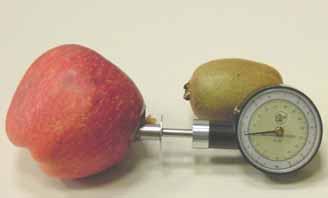 FRUIT FIRMNESS TESTERS PENETROMETRI Fruit firmness tester (penetrometer) The instrument provides for an accurate index to determine the right period for fruit harvesting and it can monitor maturation