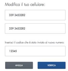 Inserire il codice e selezionare VERIFICA.