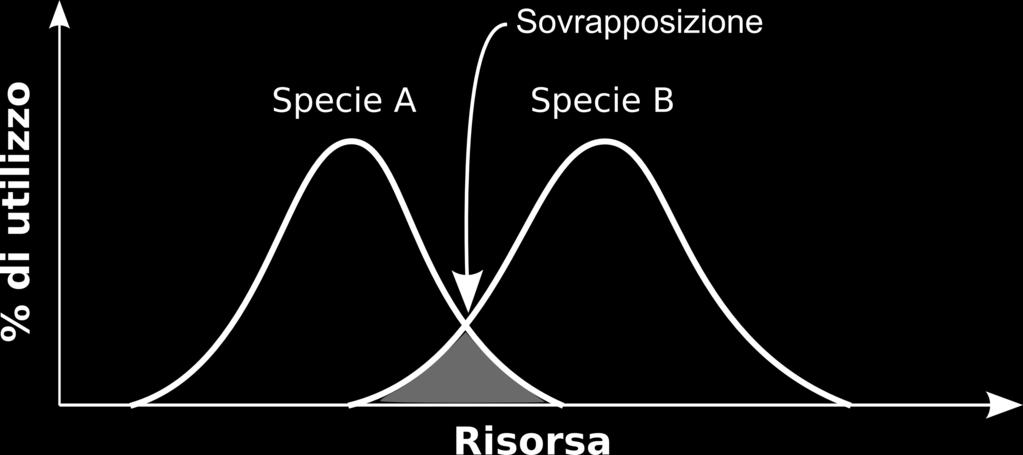 Fattori limitanti La sovrapposizione di nicchia è la quantità di risorse condivise da due popolazioni (o due specie).