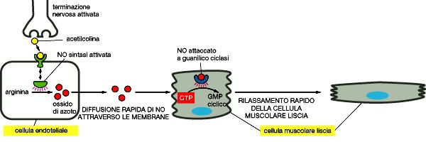 Esempio di segnalazione