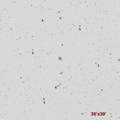 WASP - 1(cerchiato in rosso) Magn.: R = 11.4; B = 12.50 AR(J2000.0): 0h 20m 40s Decl.