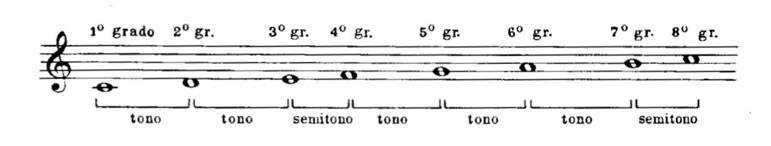 LE SCALE MAGGIORI Sono formate da 8 suoni ordinati