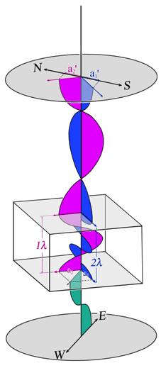 anisotropo orientato a 45 rispetto alla direzione dei polarizzatori
