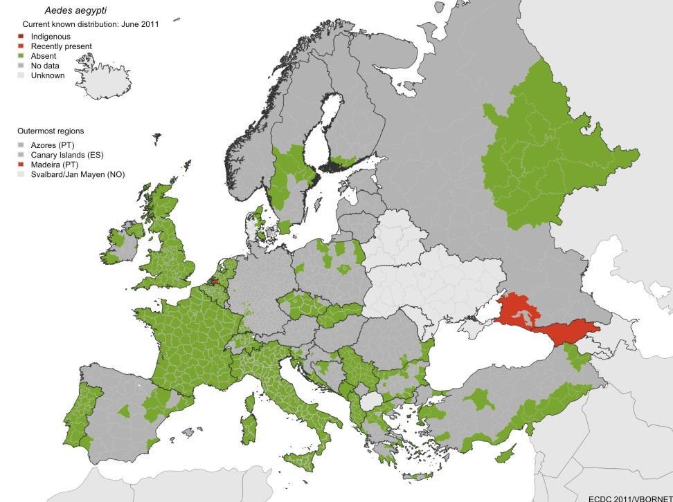 Distribuzione delle