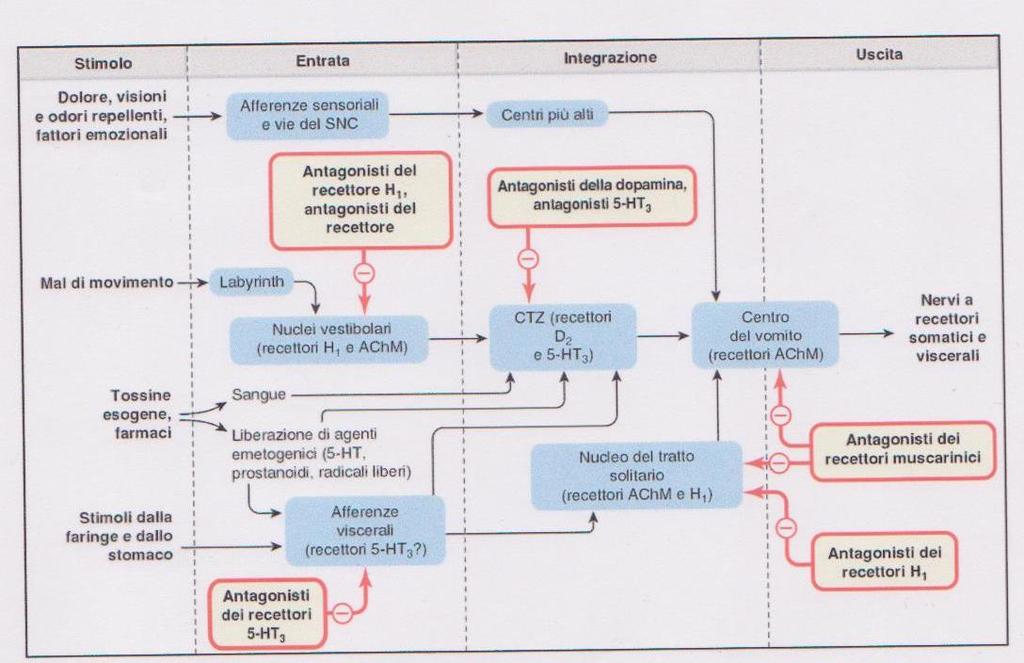 Rappresentazione schematica dei fattori implicati nel controllo del vomito, con i probabili siti d azione degli