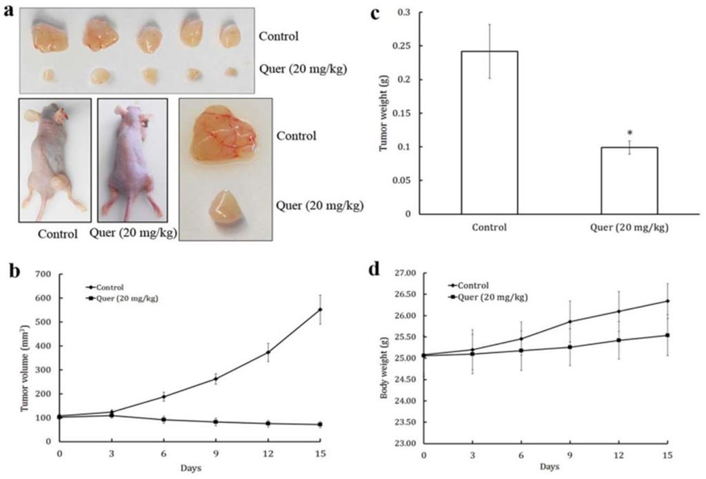 growth by targeting VEGFR-2