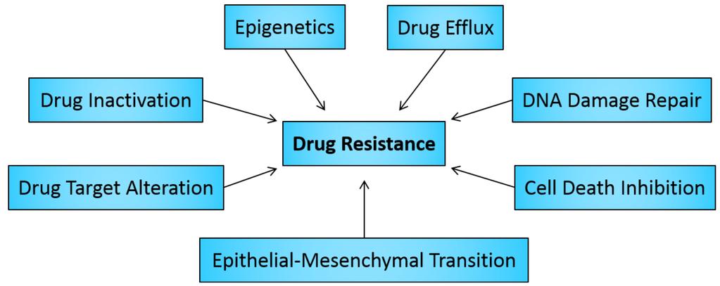 MECCANISMI DI RESISTENZA Drug resistance in cancer: an