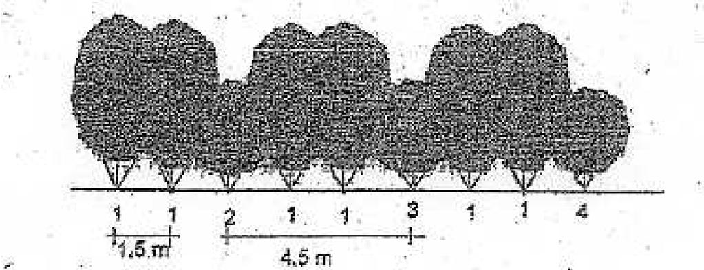 Fig. 3 Modello 1.2b Fig. 4 Modello 1.