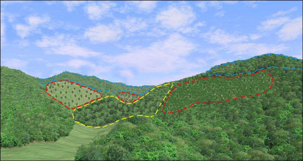 Considerazioni conclusive A scala territoriale, le differenze ambientali e ecologiche delle specie, consentono la positiva coesistenza di sistemi di coltivazione differenziati ma integrati tra loro