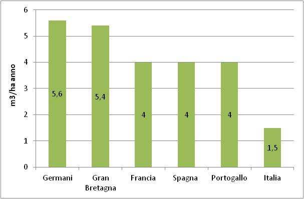 solo il 40% dell incremento corrente Germania Workshop Wood