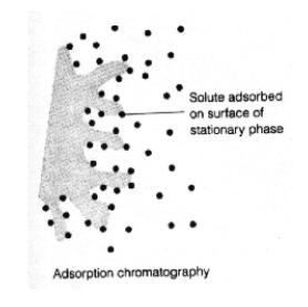 ADSORBIMENTO La fase stazionaria è un solido in polvere steso su un supporto; sulla superficie dei granuli si trovano siti attivi che possono stabilire legami deboli (reversibili!